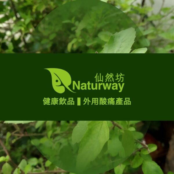 仙然坊系列