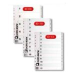 Databank 11孔 灰色PVC分類索引 ID系列 (多款可選)